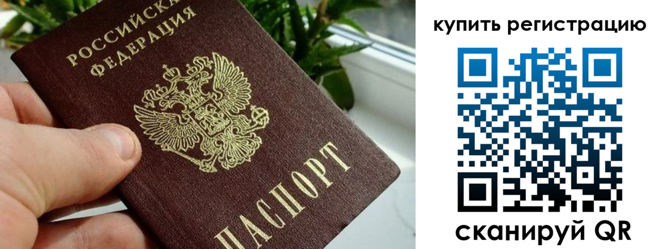 прописка гарантия в Калтане